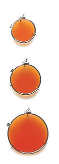 Champion filter clip - orange - 2