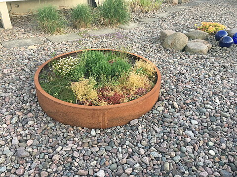Planteringsring med kant cirka 70cm diameter