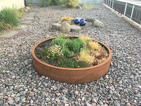 Planteringsring med kant cirka 100cm diameter