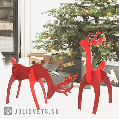 Bock duo Röd
