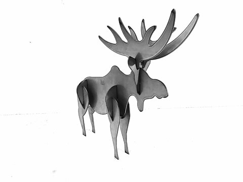 Älg "Norsk älg"