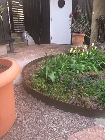 Planteringsring cirka 70cm diameter