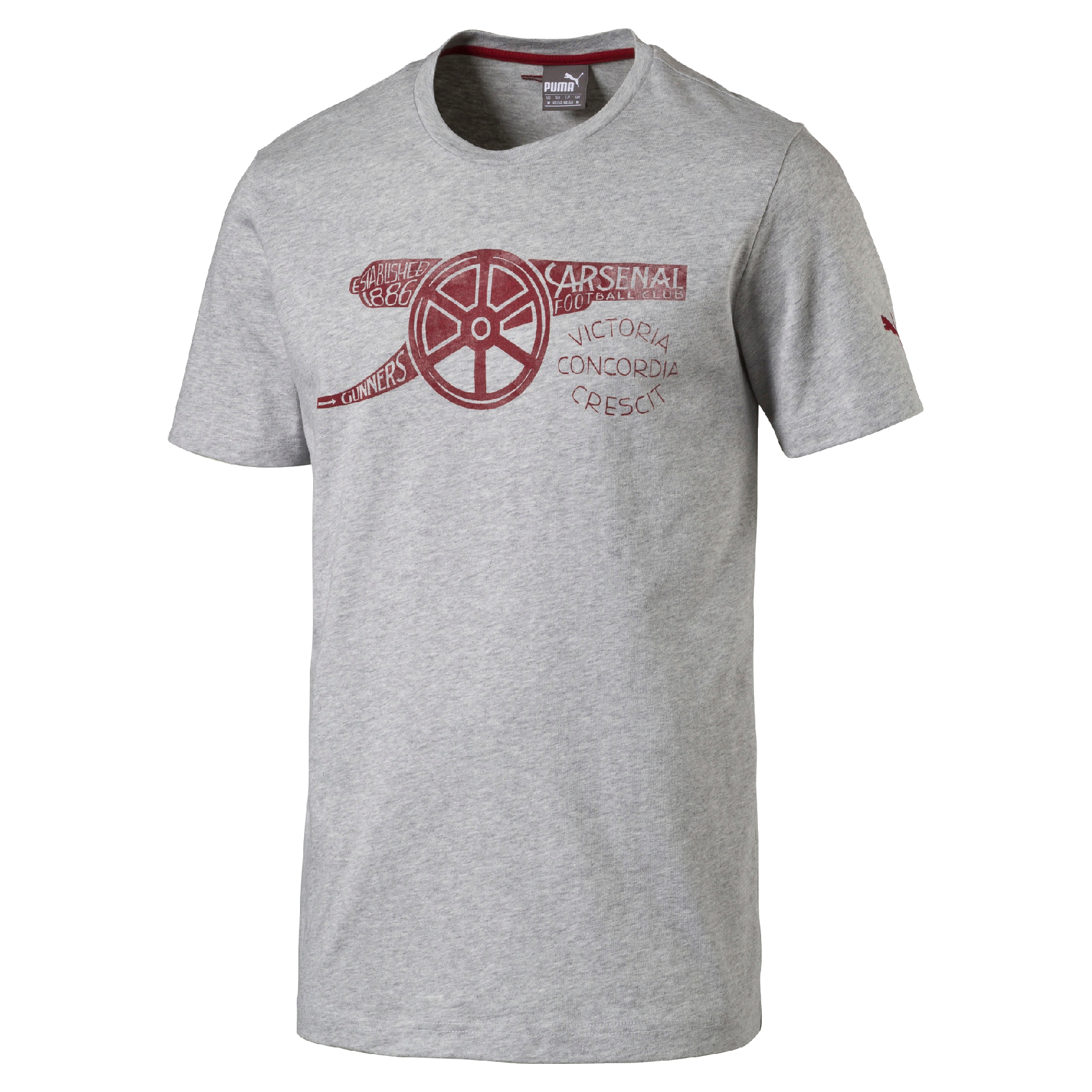 2016/2017 PUMA AFC GRAPHIC CANNON TEE - GRÅ