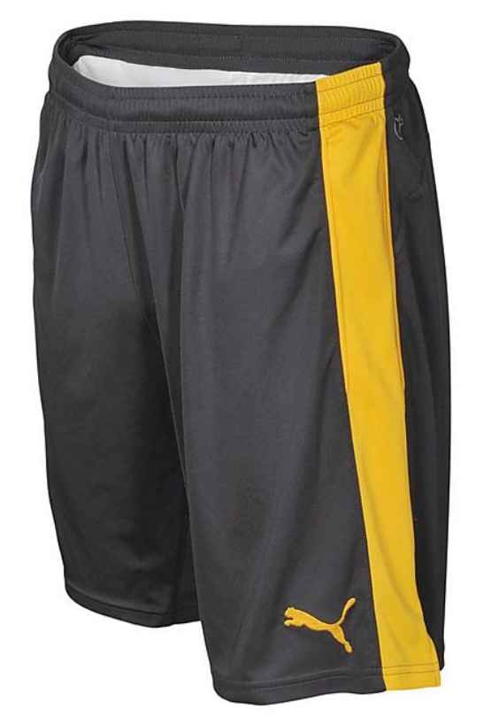 2016/2017 ARSENAL PUMA BORTASHORTS - 2