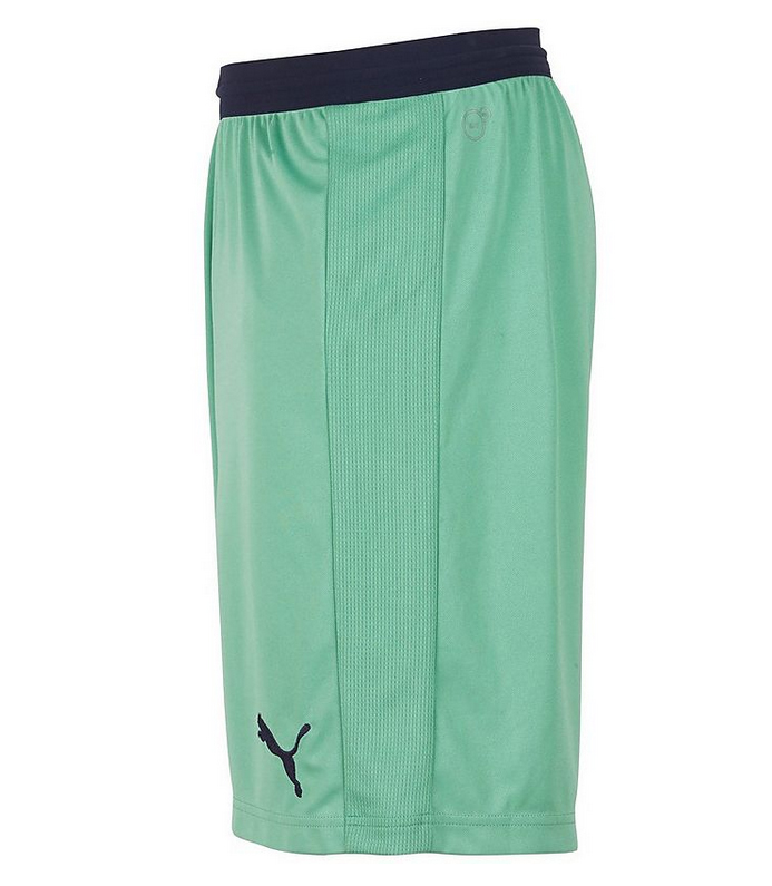 2018/2019 ARSENAL PUMA TREDJESTÄLL SHORTS - 2