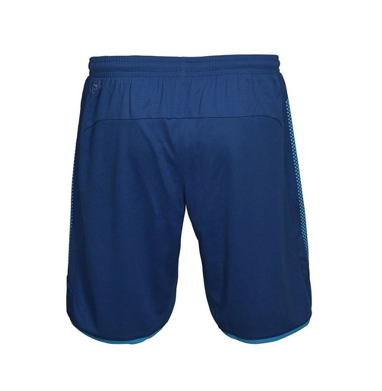 2017/2018 ARSENAL PUMA BORTASHORTS - 2
