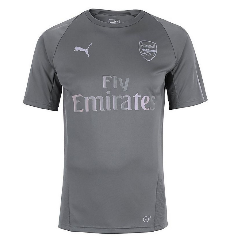 2018/2019 ARSENAL TRAINING JERSEY - GRÅ