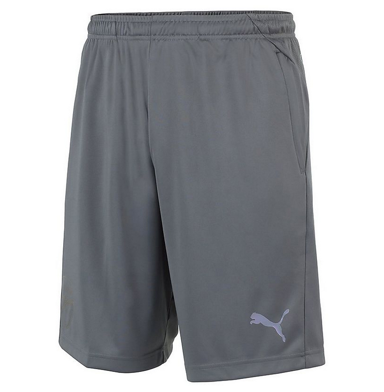 2018/2019 ARSENAL TRAINING SHORTS - GRÅ - 2
