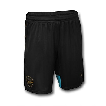 2015/2016 ARSENAL PUMA CUPSHORTS