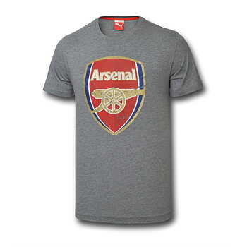 2014/2015 FAN TEE BIG CREST - GRÅ