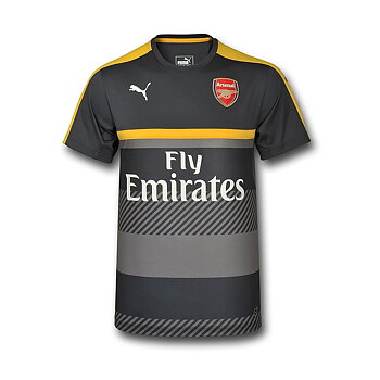 2016/2017 PUMA ARSENAL TRAINING JERSEY WITH SPONSOR - GRÅ