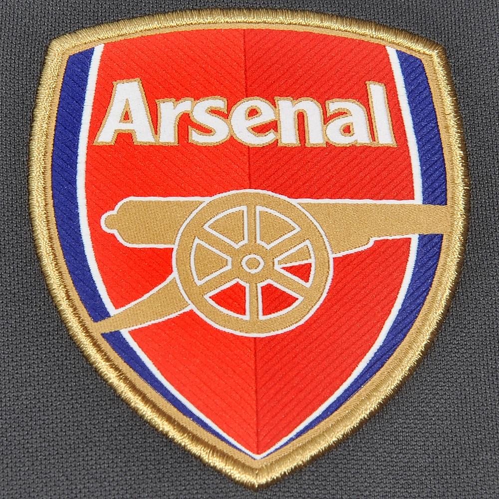 2016/2017 PUMA ARSENAL TRAINING JERSEY WITH SPONSOR - GRÅ - 4
