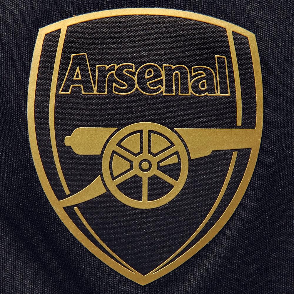 2015/2016 ARSENAL PUMA CUPSHORTS - JUNIOR - 4
