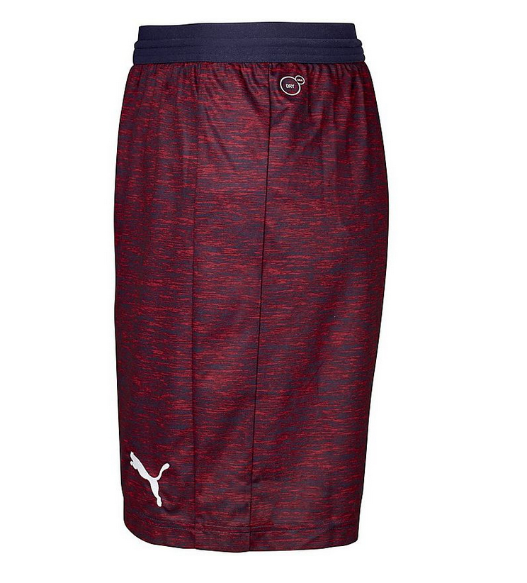 2018/2019 ARSENAL PUMA BORTASHORTS - JUNIOR - 3