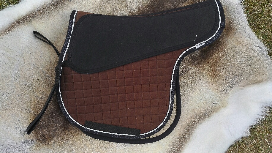480. Grandeur Ponny Standard