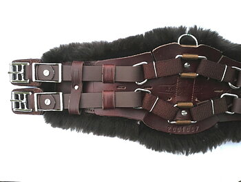 431. Dressyrgjord - Xpandgirth  - SLIM