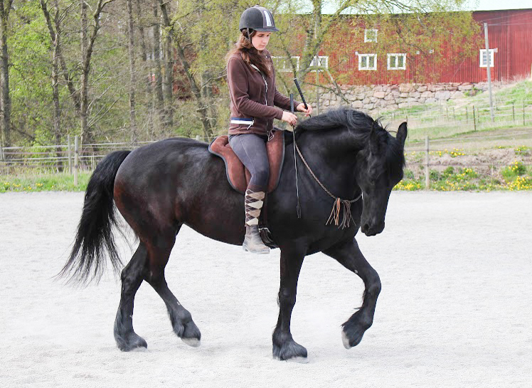 1418. Barbacka pad - Brockamp Spezial Colour - 10