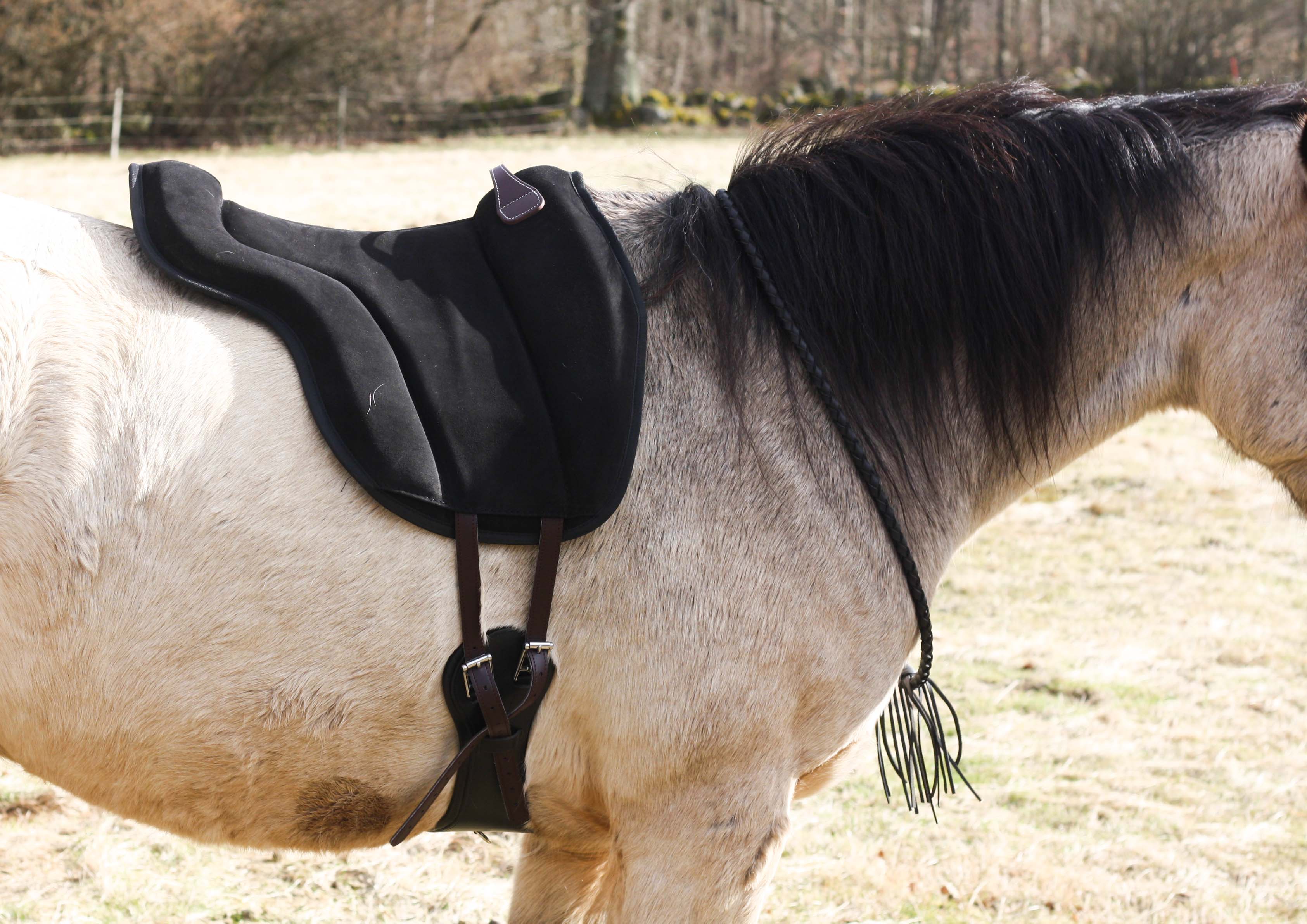 1418. Barbacka pad - Brockamp Spezial Colour - 5