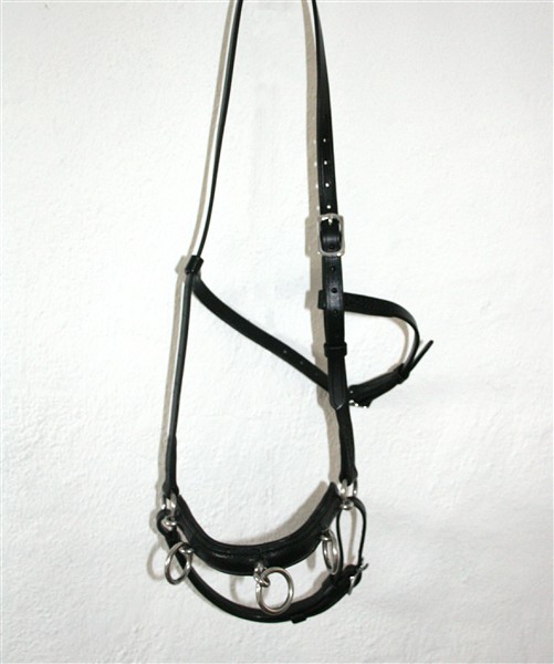 1101. Cavesson Cavalos - Fixed iron - 3