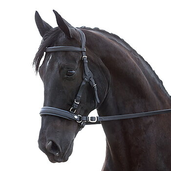 290. Contour Physio Bridle