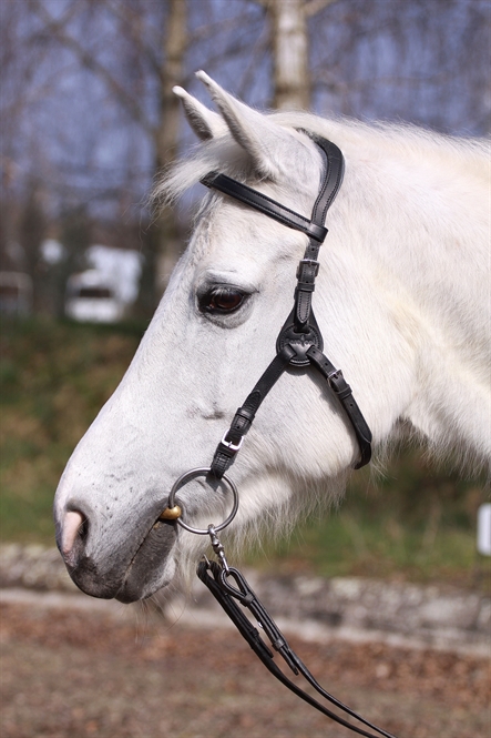 290. Contour Physio Bridle - 6