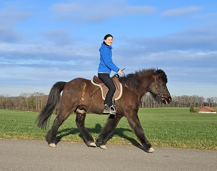 1425. Garrido - Hybrid Bareback pad - 7
