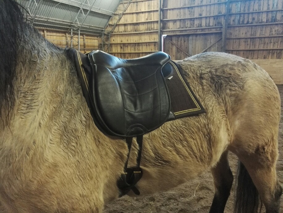 203. LaBona Pro Bareback pad - 6
