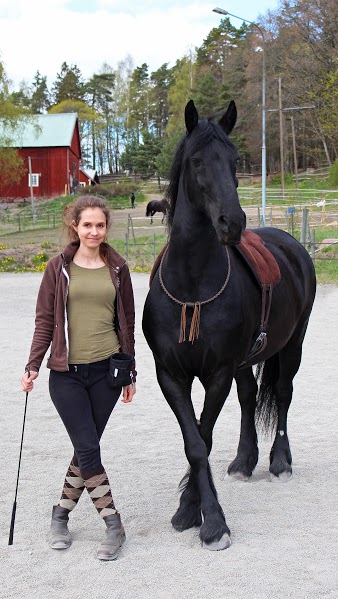 440. Cordeo - Braided Leather - 2