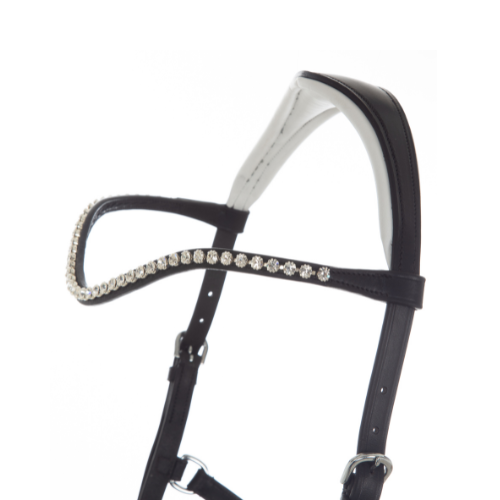 1042. Sidepull Dressage Dino - 4