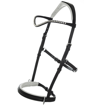 1042. Sidepull Dressage Dino