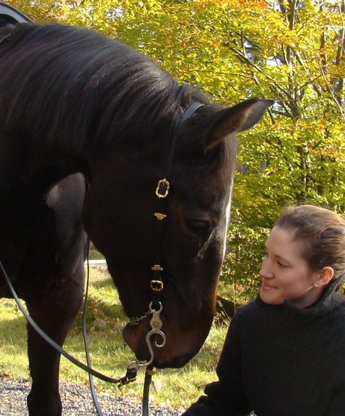 185. Semi Bridle Deluxe - 2