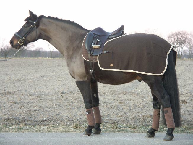 1901. Mia RS Exercise Rug 100 % Wool 