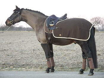 1901. Mia RS Exercise Rug 100 % Wool 
