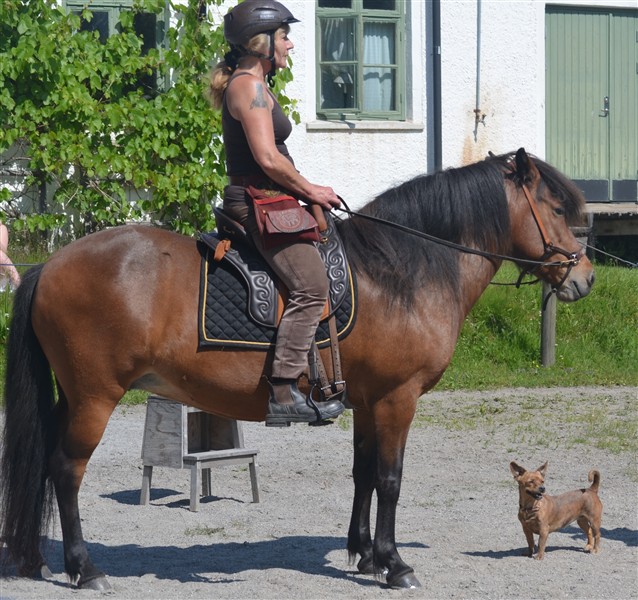 Färgkombinationer - 21