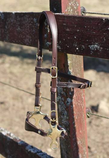 5410. Mini Hackamore - 2