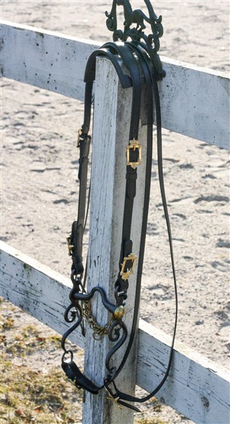 172. Semi Bridle Konstantin - 4