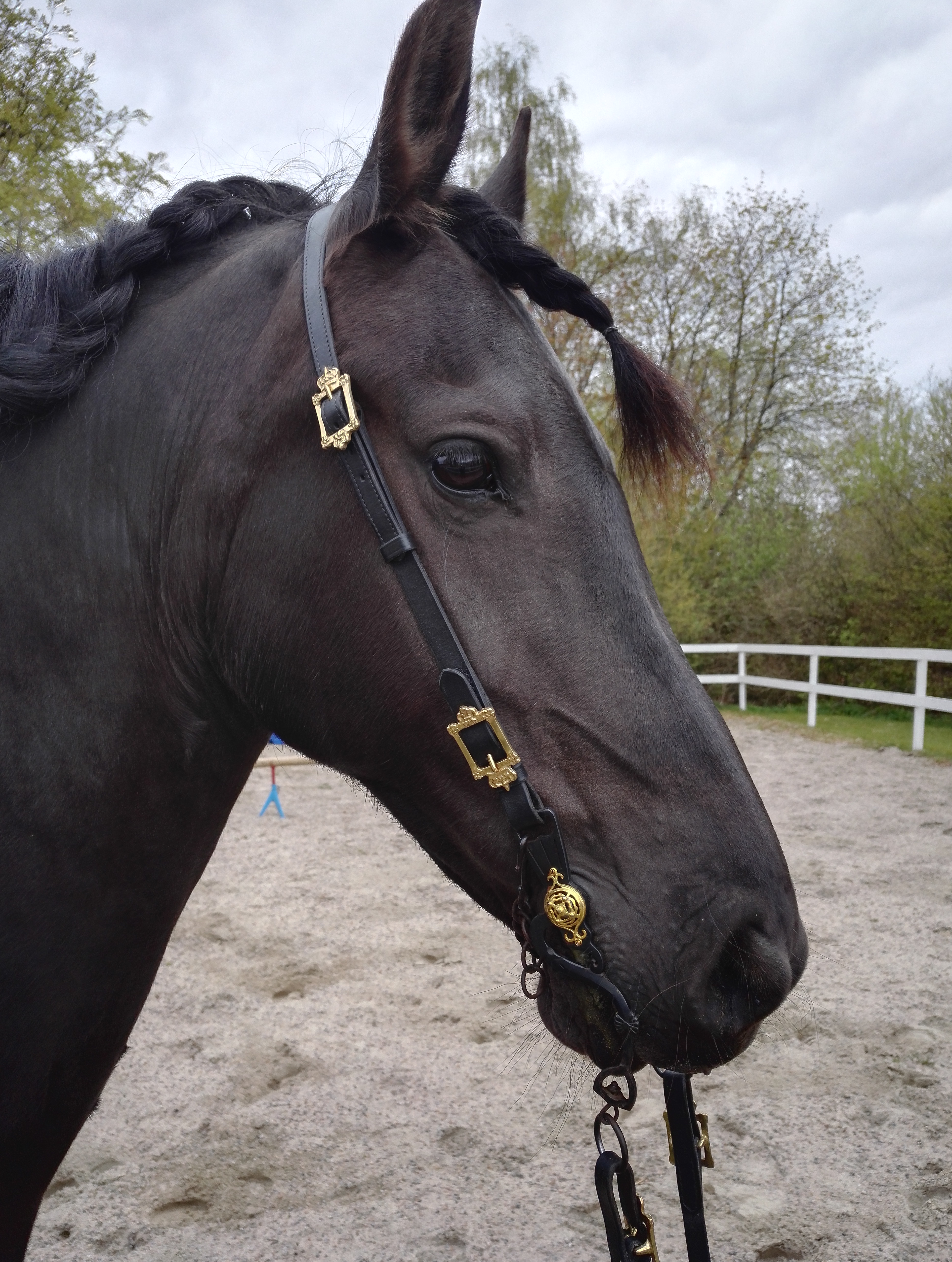 172. Semi Bridle Konstantin - 3