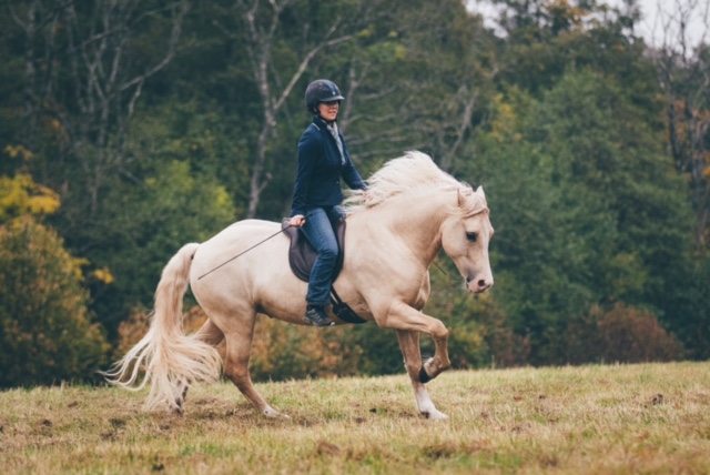 205. LaBona Dressage II Bareback pad  - 6
