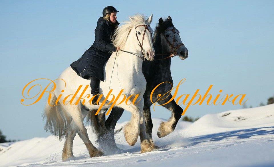 2100. Thermo Coat Saphira  - 4