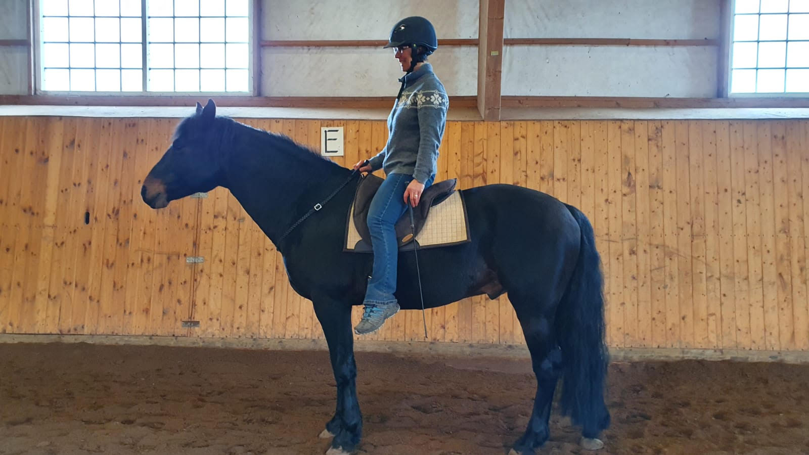 202. La Bona Dressage I Barbacka pad  - 7