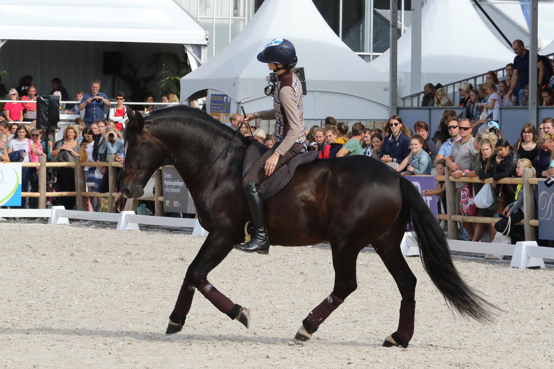 202. La Bona Dressage I Barbacka pad  - 5