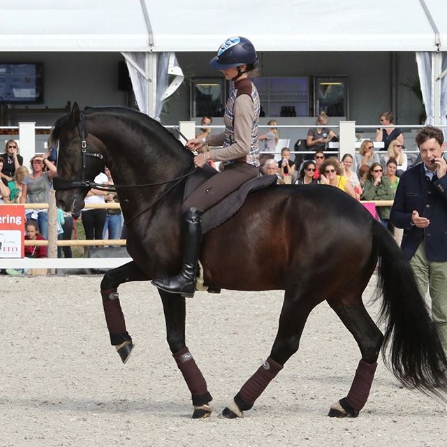 202. La Bona Dressage I Barbacka pad  - 6