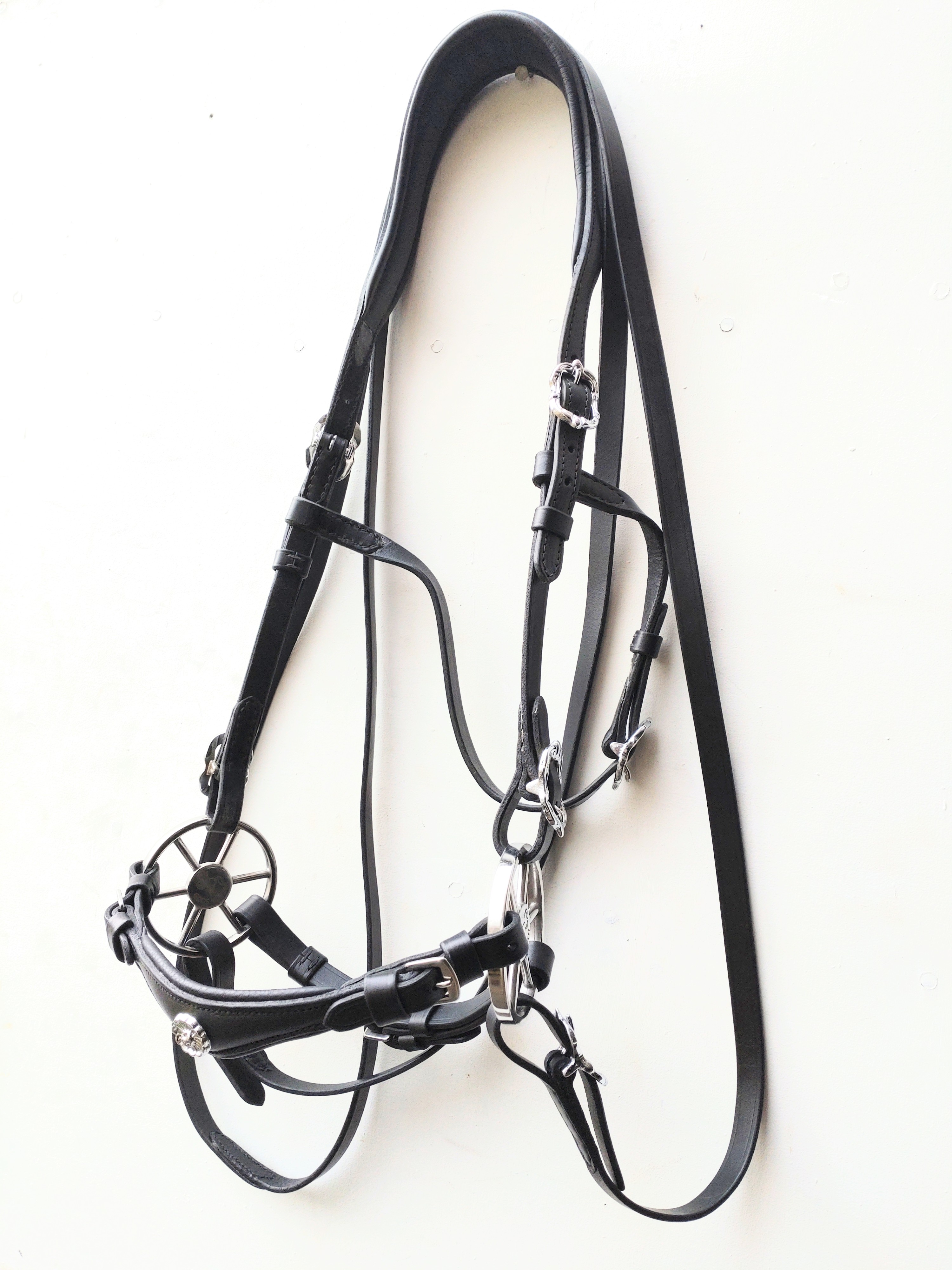 113.  Hackamore huvudlag Bendix Anatomisk