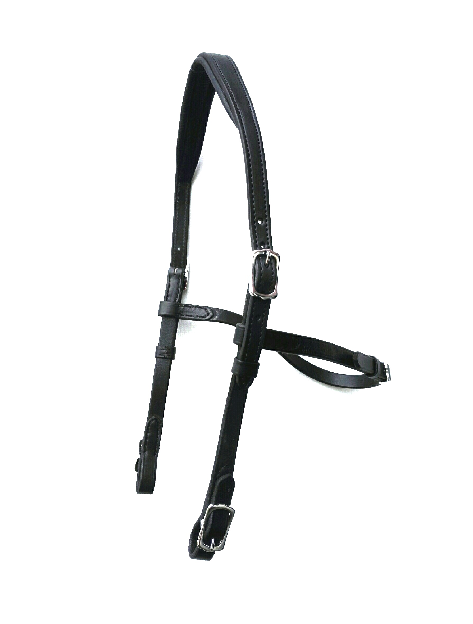 180.  Hackamore Bridle Bendix