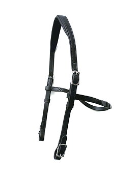 180.  Hackamore Bridle Bendix