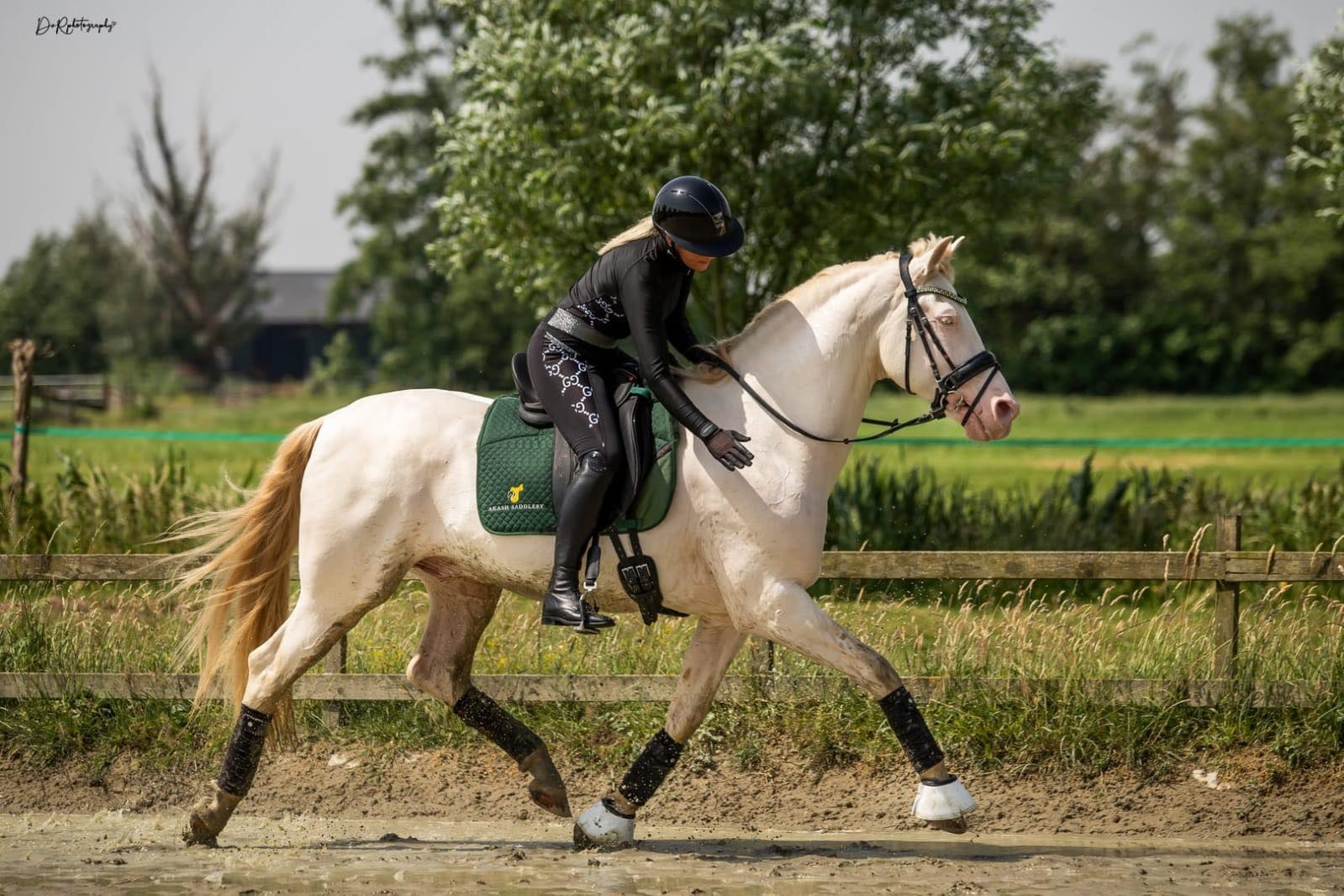 433. Edix Anatomic Dressyrgjord  - 5