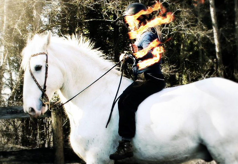 1300. Pannband - Medieval Leroy - 4