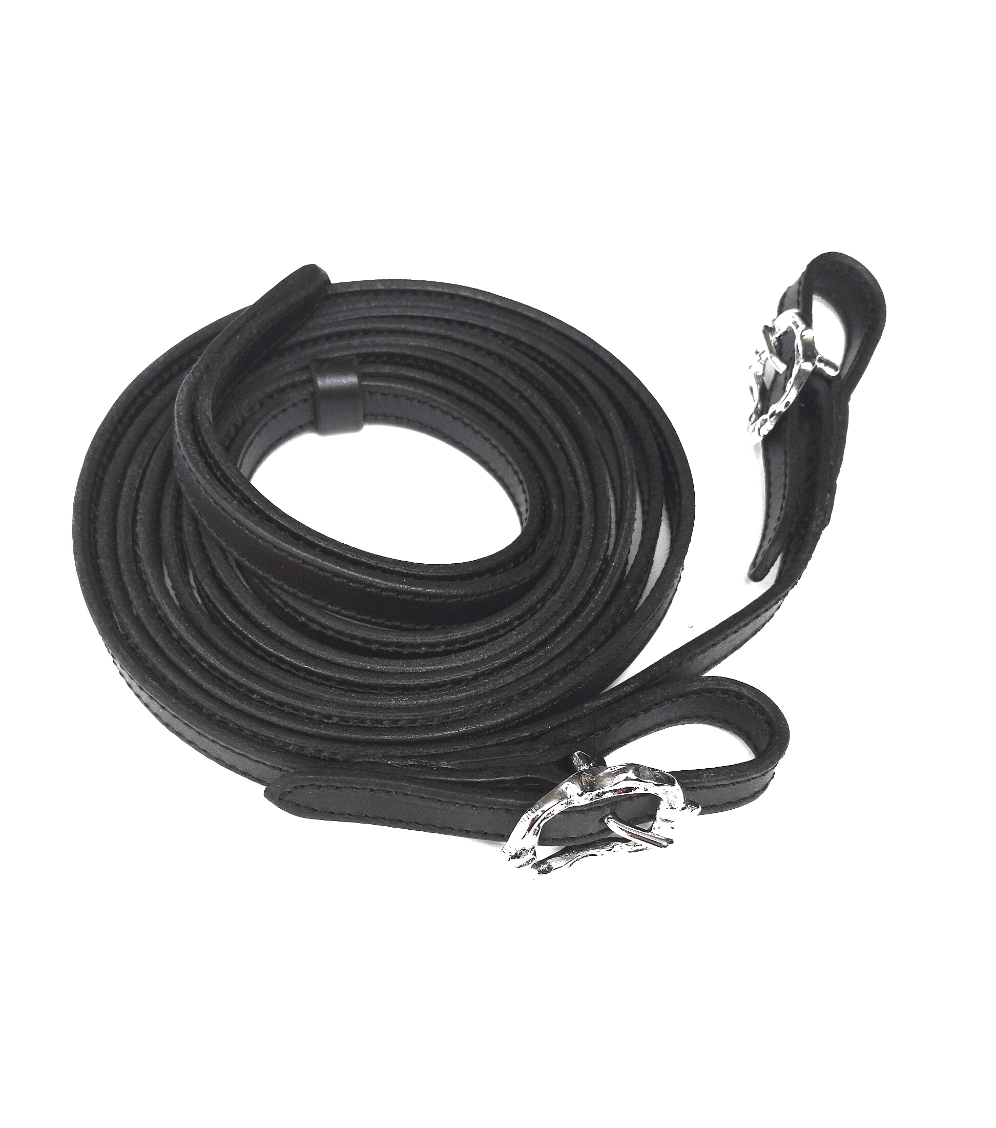 Reins