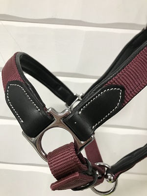 Grimma F&C  - 2