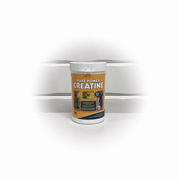 Pure Power Creatine 1 kg